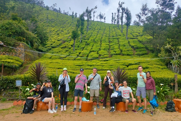 kerala best tea powder kolukkumalai tea esate img 3