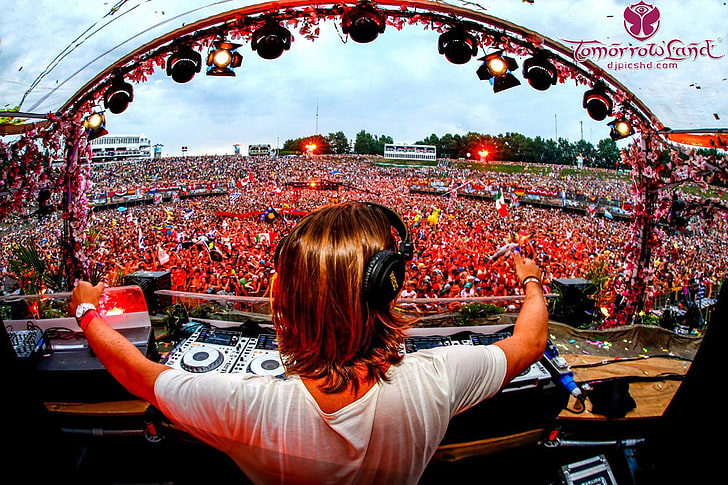 tomorrowland music musician wallpaper preview