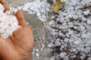 Munnar 18/03/2026 is a beautiful hill station famous in terms of cool and refreshing climate all the year round. mulberry 4599442 1280